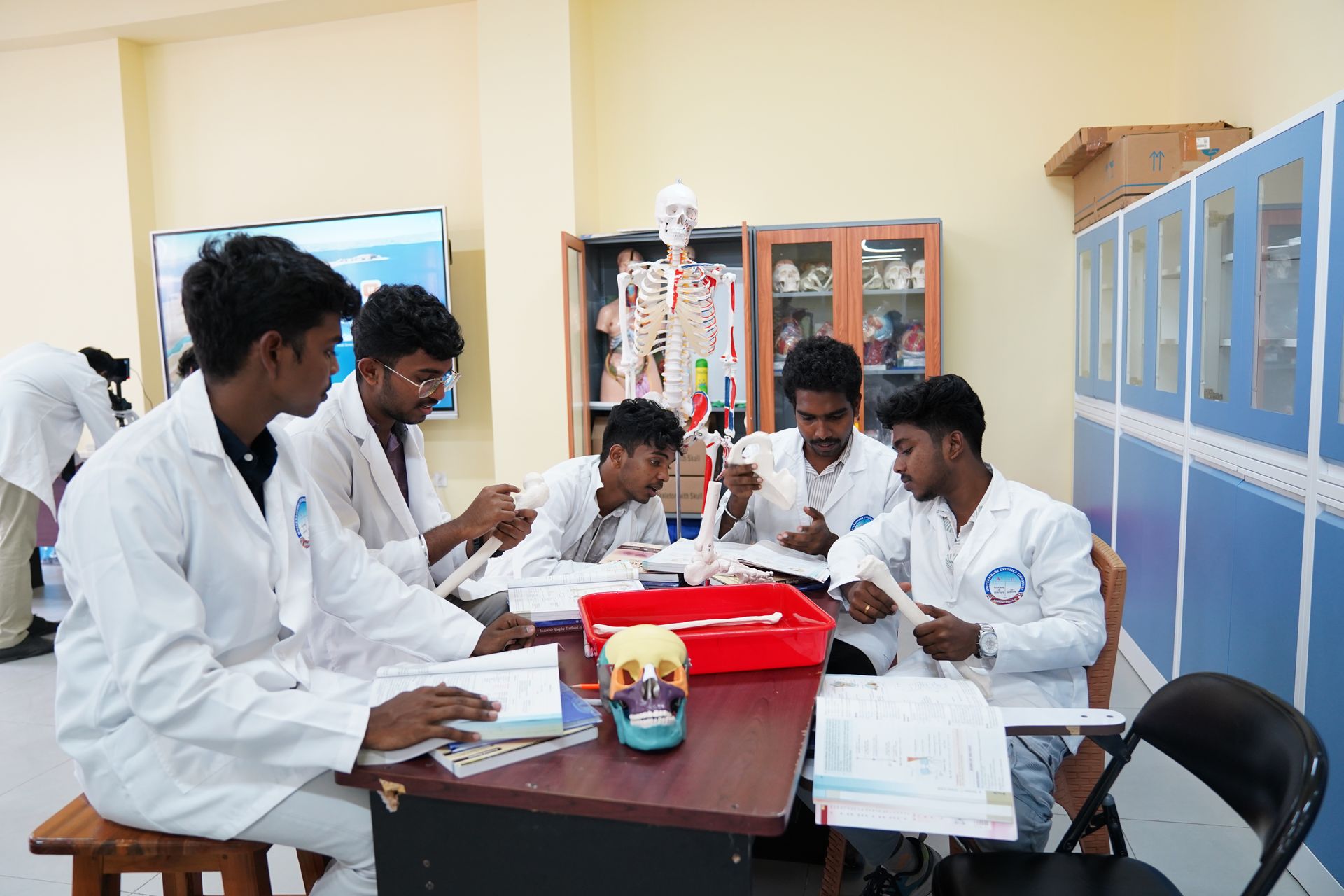 Pediatrics